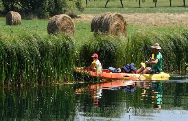 Apartments Jezerane - Foto 17