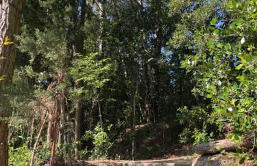 Casale del monte, Pesaro - Foto 39