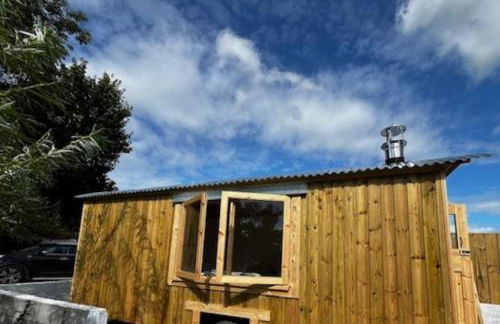 Little Dolwen - Sioned - Photo 13