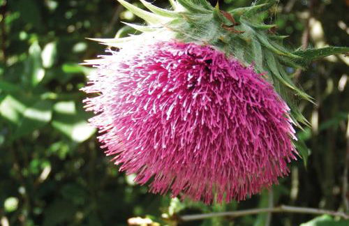 Ferienhof Rauchhaus - Foto 26