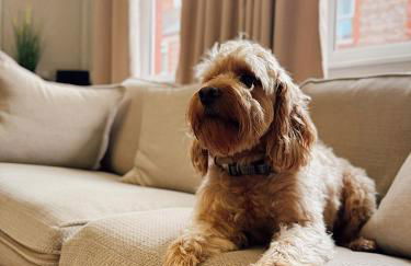 Rock Ferry home - Foto 18