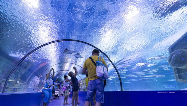 Alanya: Boleto de entrada al Acuario de Antalya con traslado al hotel - Foto 3