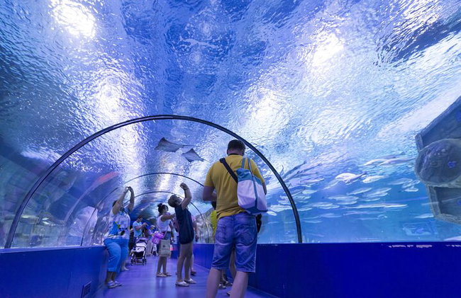Alanya : Entrada al acuario de Antalya con traslado opcional - Foto 3