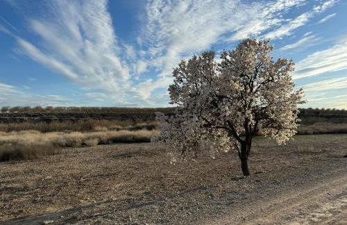 El Niu de Claravalls - Foto 47