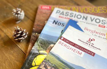 Au pied des vignes - Foto 28