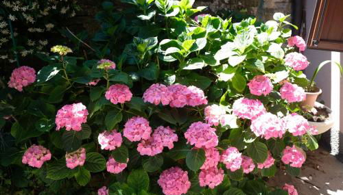 Appennino Via Roma 66 - Foto 4