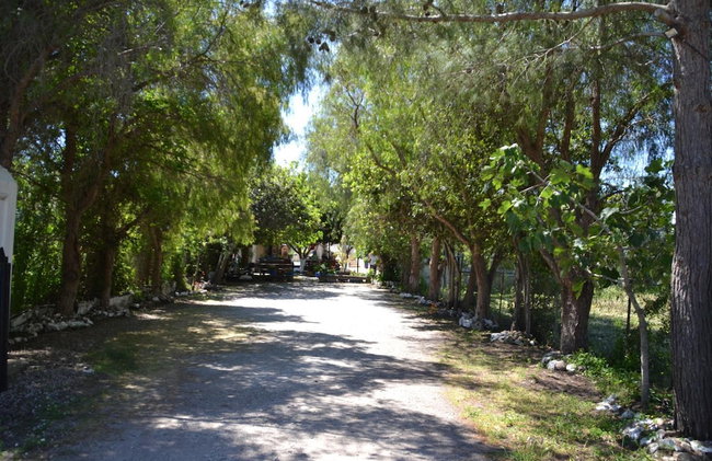 Paradise Gumusluk - Photo 29