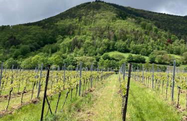 Blockhaus in herrlicher Umgebung - Foto 41