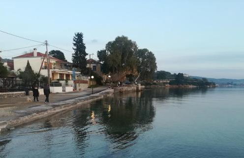 Yard of Epicurus - Η Αυλή του Επίκουρου - Foto 50