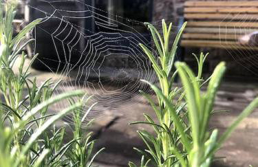 The Stables at Rocking Stones - Foto 31