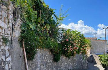Nello House - Foto 11