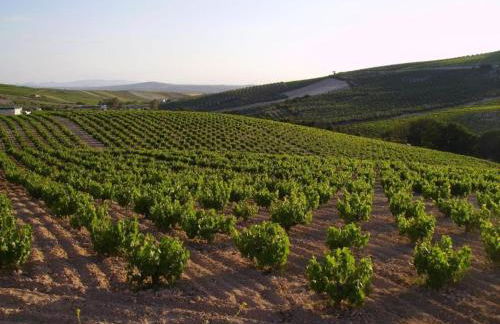 Apartment in Montilla Near Palacio Medinaceli - Foto 34