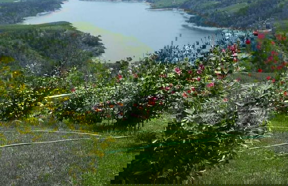 Agritur Vista Lago - Foto 15