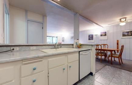 Summit Condominium #41 Condo - Foto 14