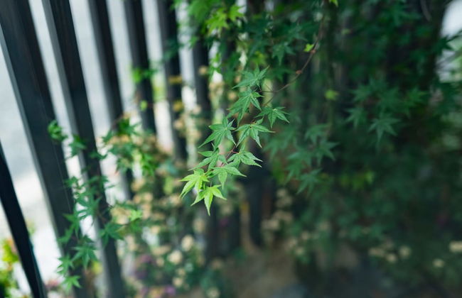 GRAND BASE Mojiko - Foto 56