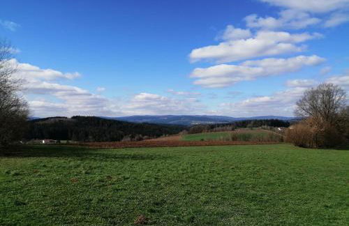 Ferienhof Landhaus Michael - Foto 54