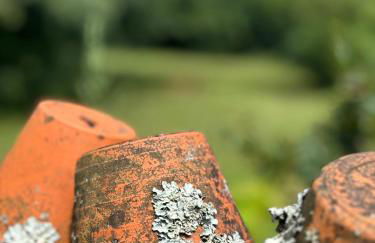 Ferienhof Hirsch - Foto 19