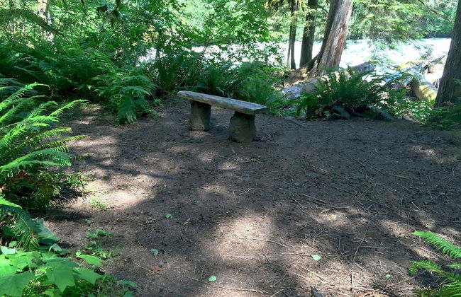 25SL - Hot Tub - BBQ - Pets Ok - WiFi - Sleeps 6 - Foto 32