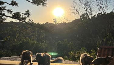 Loft in the Woods in São Roque! - Foto 5