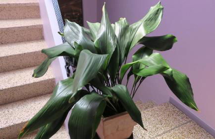 Au Remp'Arts - Foto 34