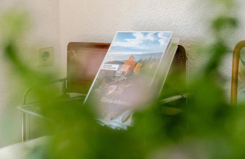 Sonnenschein - Foto 23