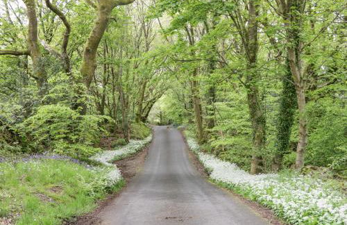 Watch Tree Apartment - Foto 28