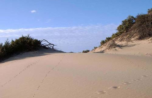 Turismo Rurale La Miniera Fiorita - Foto 68