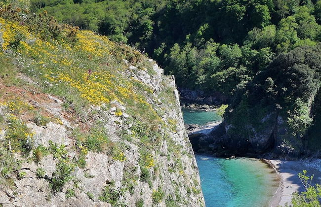 Lovely Period Cottage Sleeps 4 Resting in Torquay - Foto 35