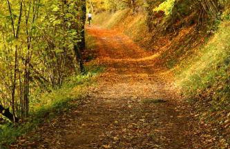 La Brison-T'Inn - Foto 26