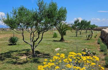 Holiday house Adriana - Photo 7