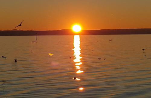 Ferienwohnung Fischbach - Foto 17