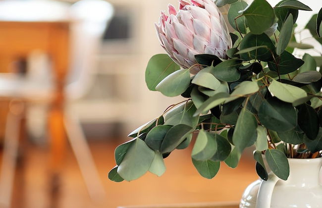 De Waterkant Guest Suites - Foto 19