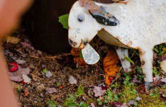 The 312 House - A Boho Retreat- Hocking Hills - Foto 32