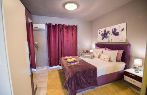 Lila Studio - Foto 13