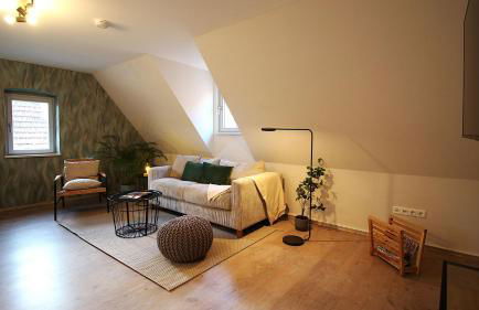 homie stay Julius Apartments - Iphofen - Foto 80