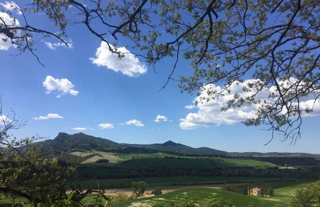 Casa Spiga Agriturismo Le Selvole - Tuscany - Foto 37