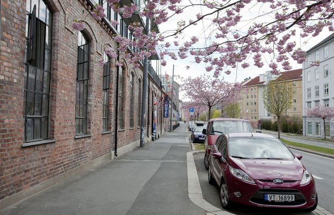 Central City Apartments - Foto 27