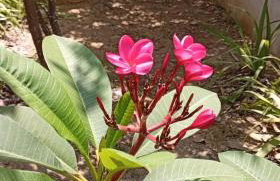 Casa Aconchegante - Foto 27