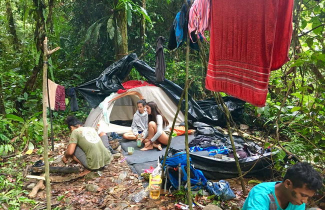 Observation d'orangs-outans à Gunung Leuser en 3 à 4 jours - Photo 13