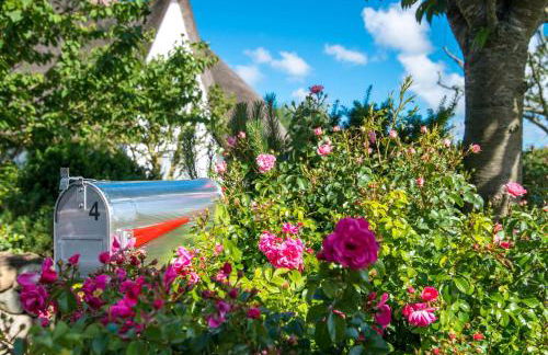 LITZKOW 19104 - Foto 22