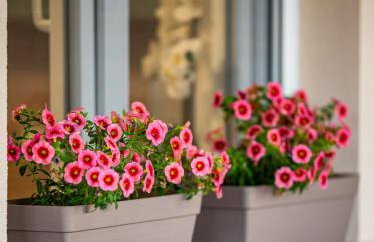 Apartman Luca - Pridraga - Foto 57