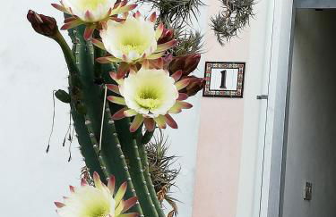 Monolocale con giardino e parcheggio privato CITRA zero zero ottanta trentuno LT 0281 - Photo 27