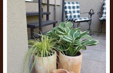 Kolev Apartments - Foto 109