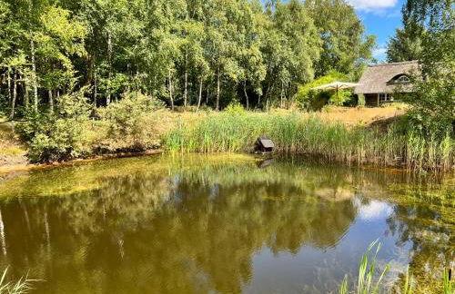 Ferienhaus in idyllischer Lage - Ankommen & durchatmen - Foto 4