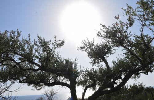 Villa Evdokia II - Foto 22