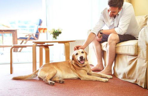 Aparthotel Seepanorama - Foto 9