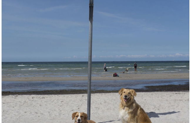 Holiday Home Friedchen - Photo 29