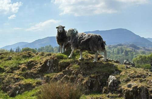 Elterwater Park self catering - Foto 22
