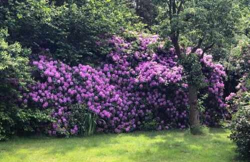 Ferienwohnung Friesenstube - Foto 53