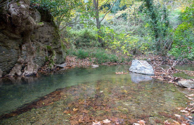 Serenity River Villa - Foto 43